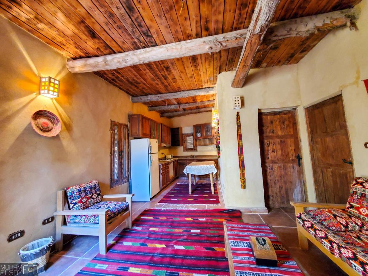 Paloma * Siwa Oasis